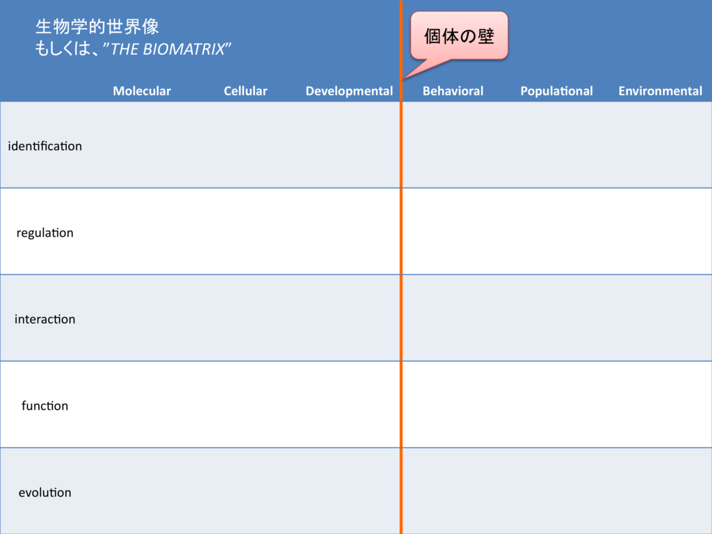 生物学論文を書くマトリックス