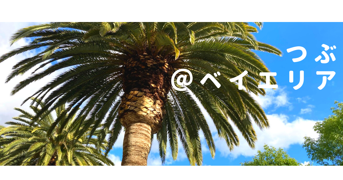 f:id:extrapulp:20211020103224p:plain