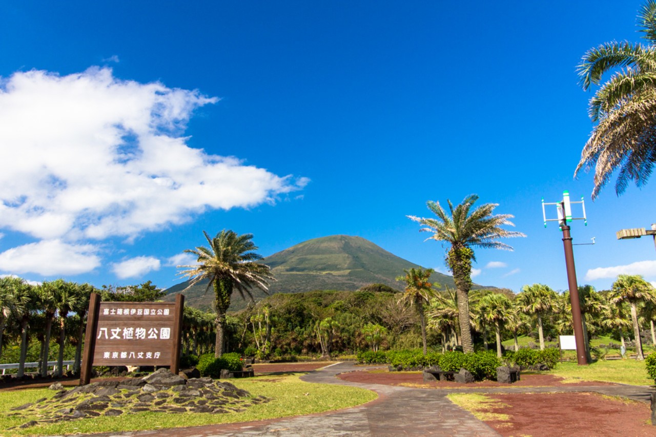 f:id:exw_mesi:20190226162223j:plain