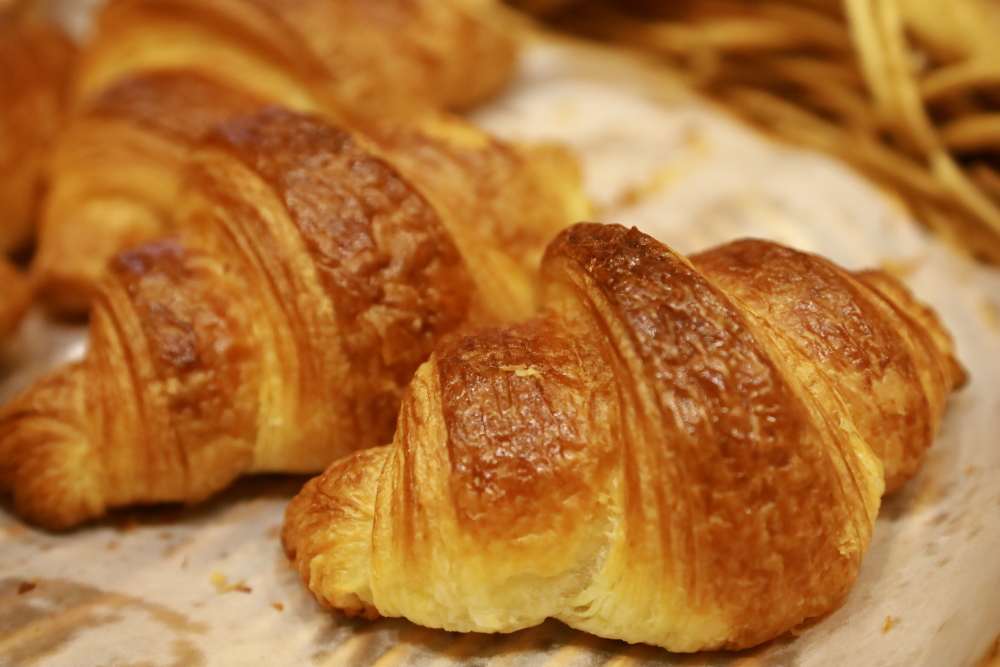 f:id:exw_mesi:20191205220811j:plain