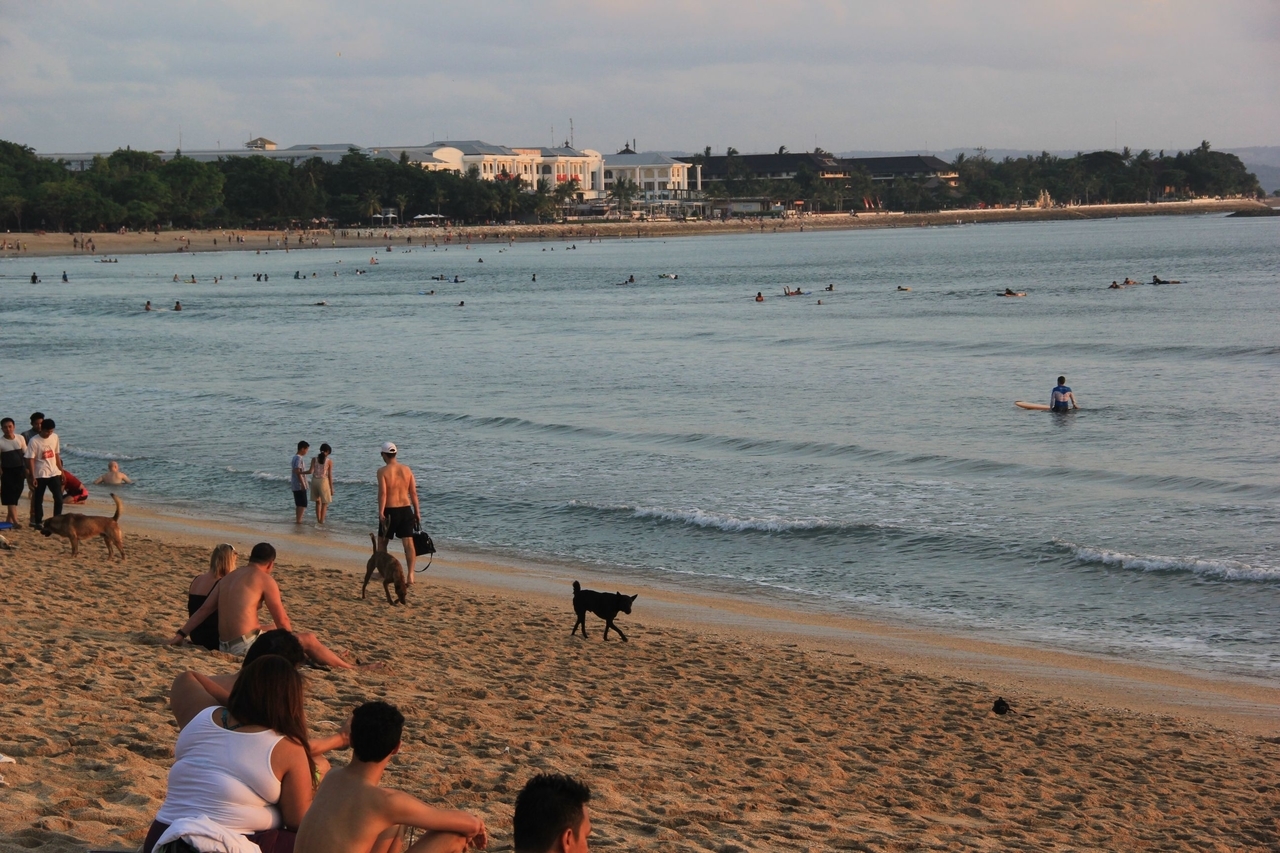 f:id:exw_mesi:20200520165907j:plain