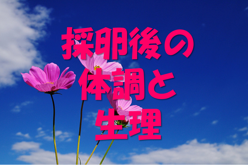 f:id:ey11271210:20180915224506p:plain f:id:ey11271210:20180915224506p:plain