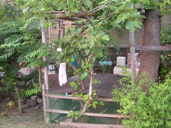 f:id:eyck:20080606160458j:image