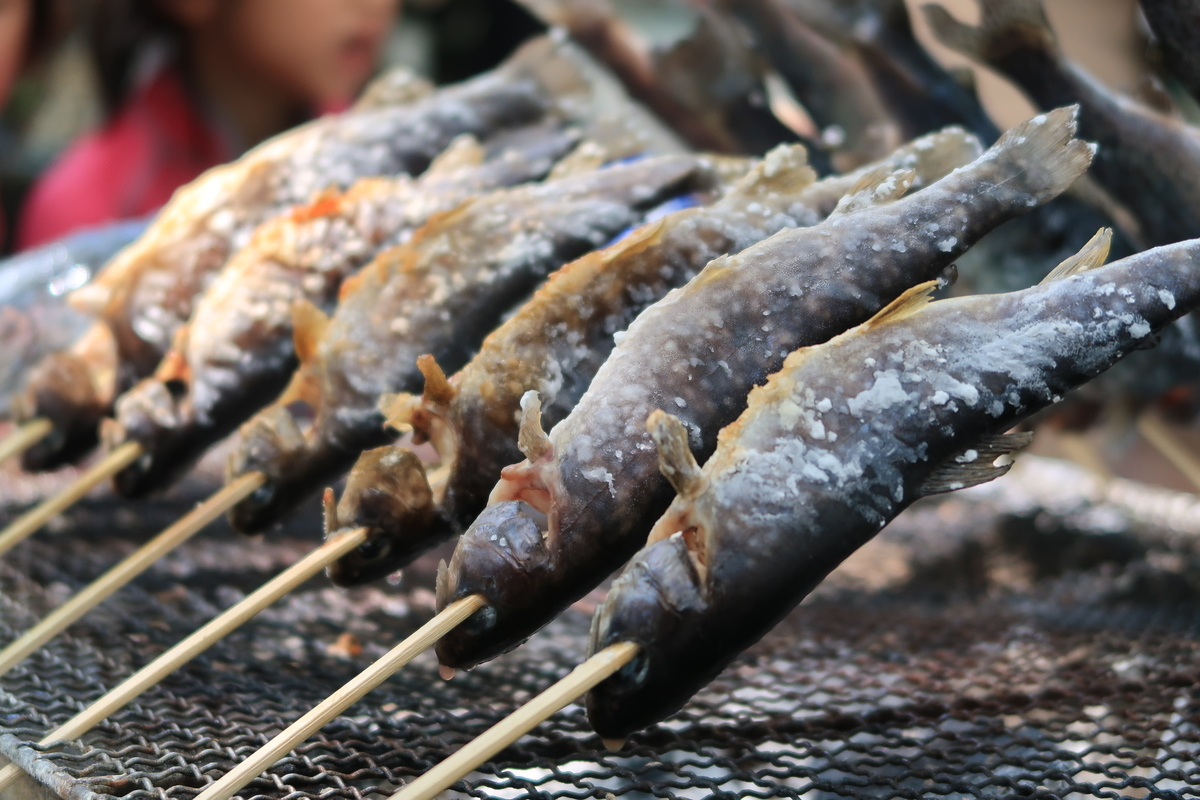 イワナの塩焼き コンデジ写真館 イワナの塩焼き コンデジ写真館