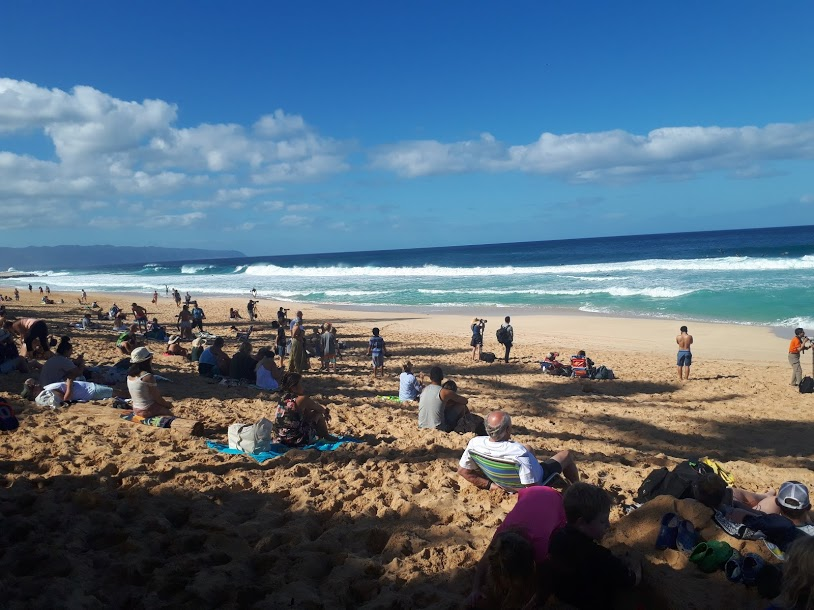 サーファーの憧れ、ノースショアで開催された「パイプ・マスターズ」の