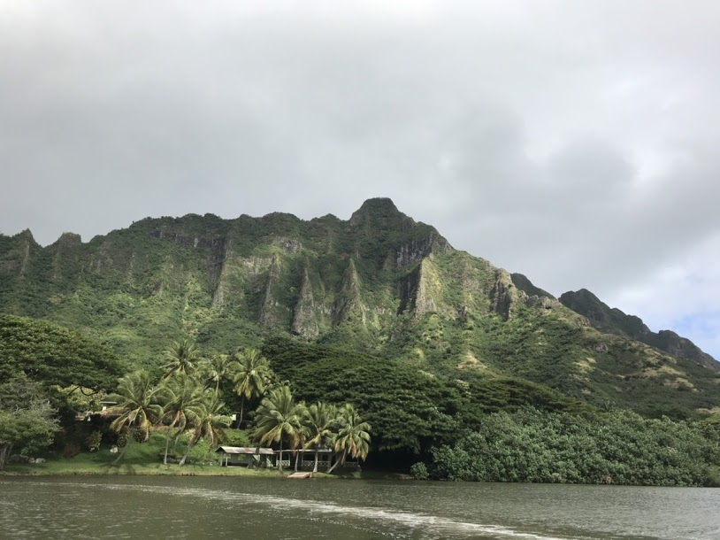 f:id:eyossy:20190210224759p:plain f:id:eyossy:20190210224759p:plain