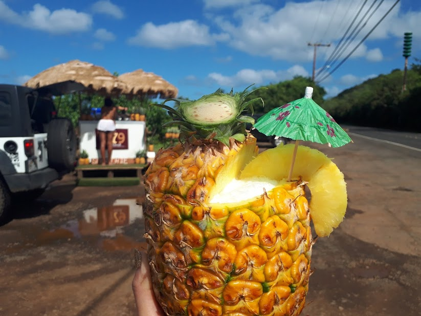 カメハメハハイウェイで立ち寄った「1979 Hawaii」は幻のカフェ。今度