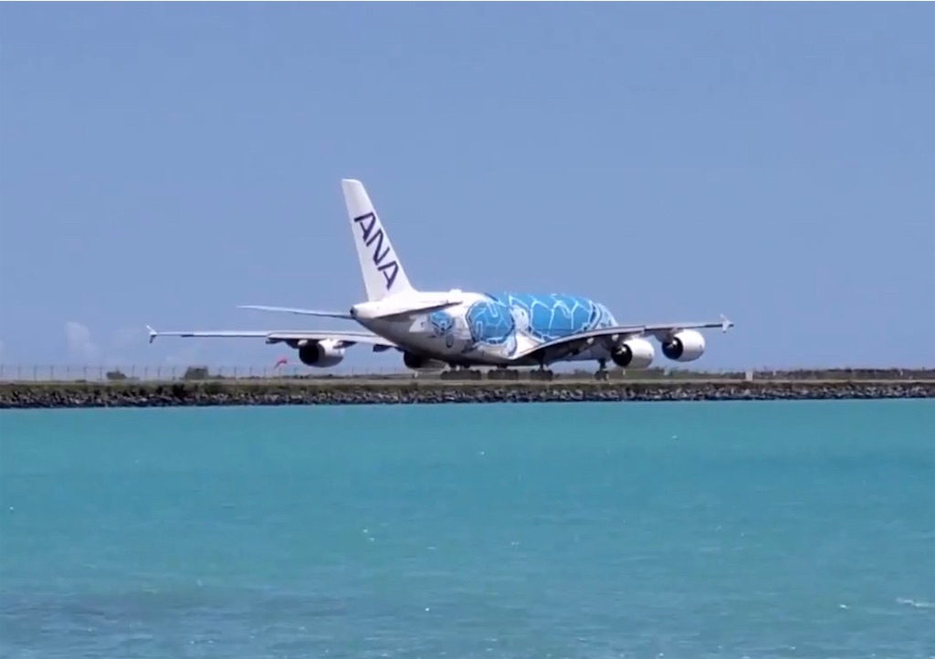 2021年夏、約500日ぶりに飛んだ全日空のフライングホヌ。スタッフの