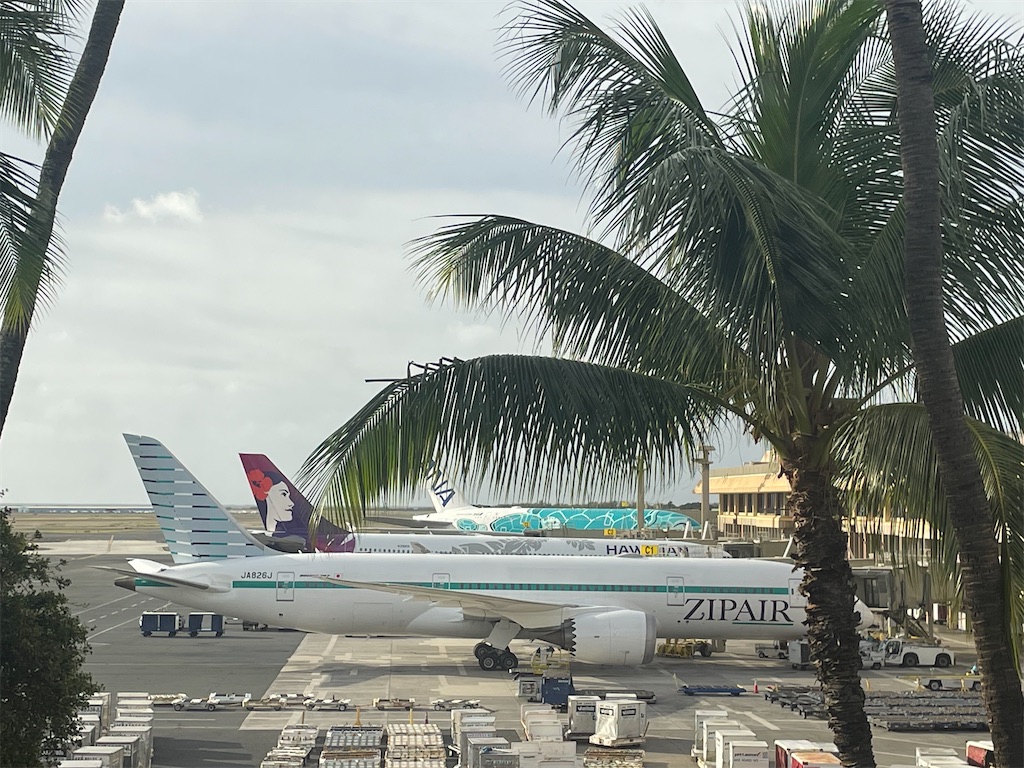超希少 ハワイアン航空 HAWAIIAN A330-200（1/200 ハワイアン