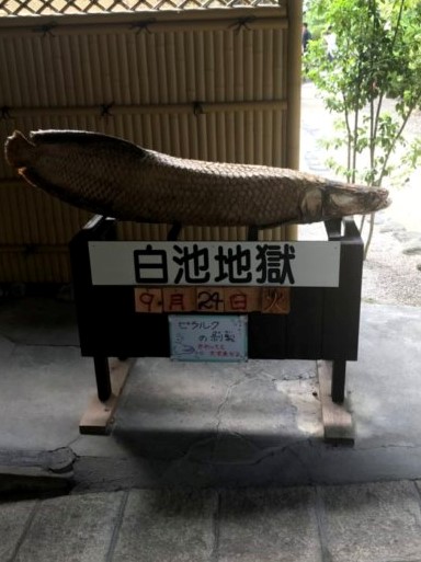 f:id:eyota:20200527152135j:plain