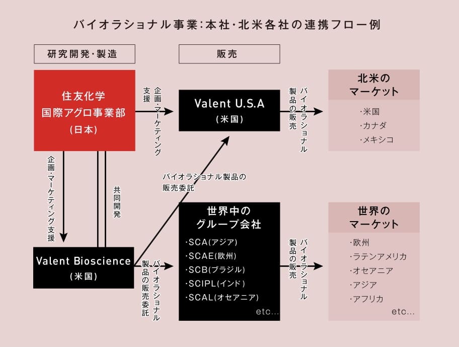 f:id:ezculture:20210910193624j:plain