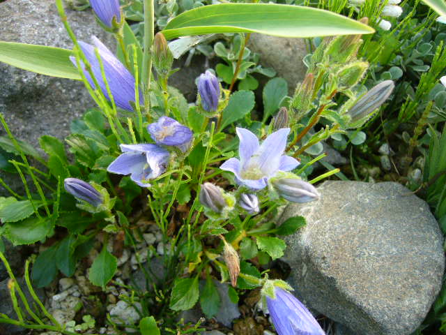 f:id:ezoengosaku:20110629173827j:image