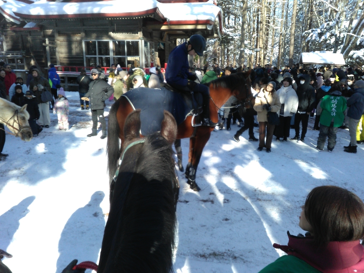 馬から目線🏇② - ezohikiの日記