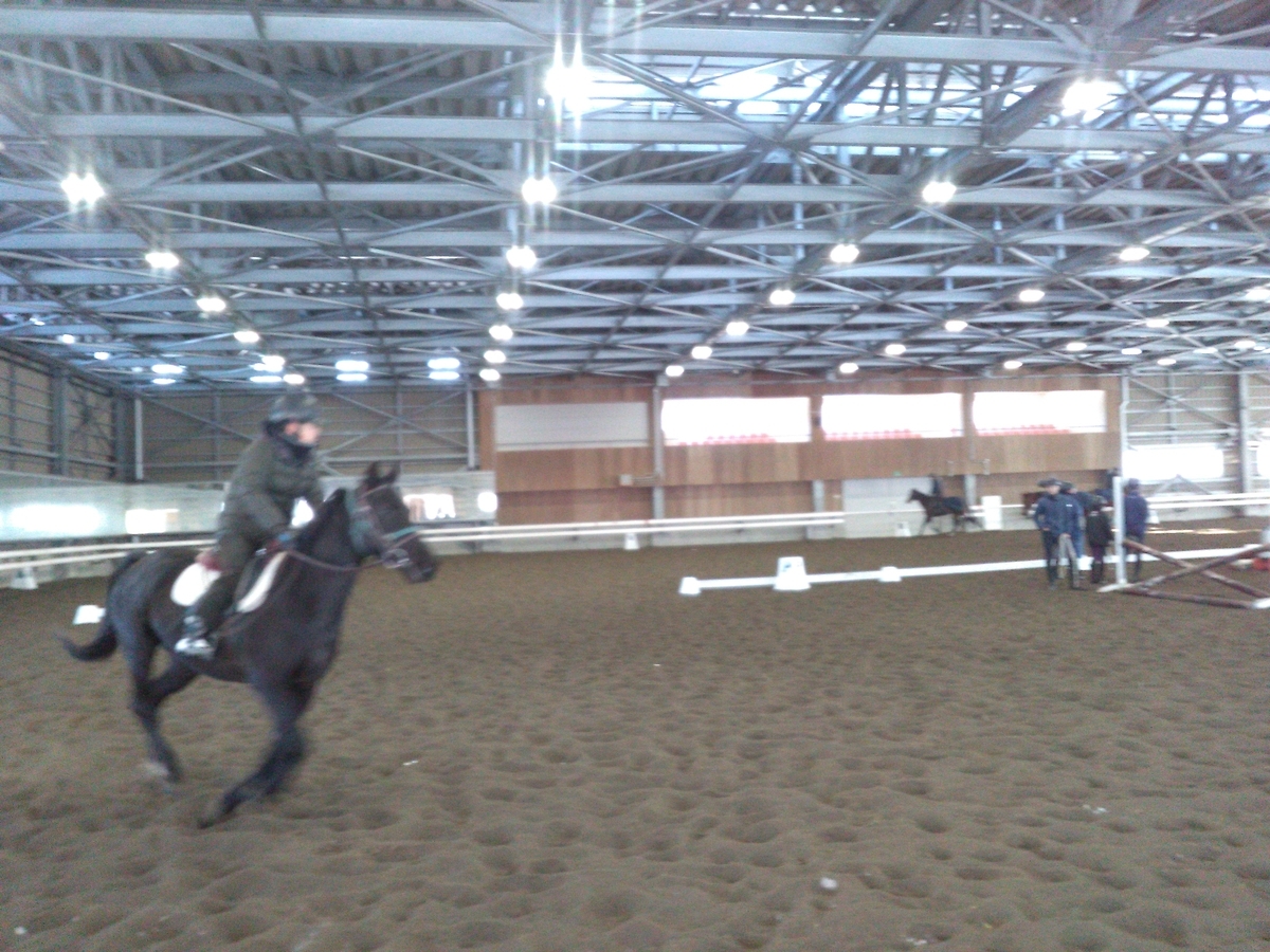 馬から目線🏇② - ezohikiの日記