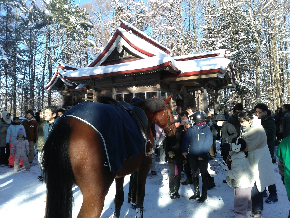 馬から目線🏇② - ezohikiの日記