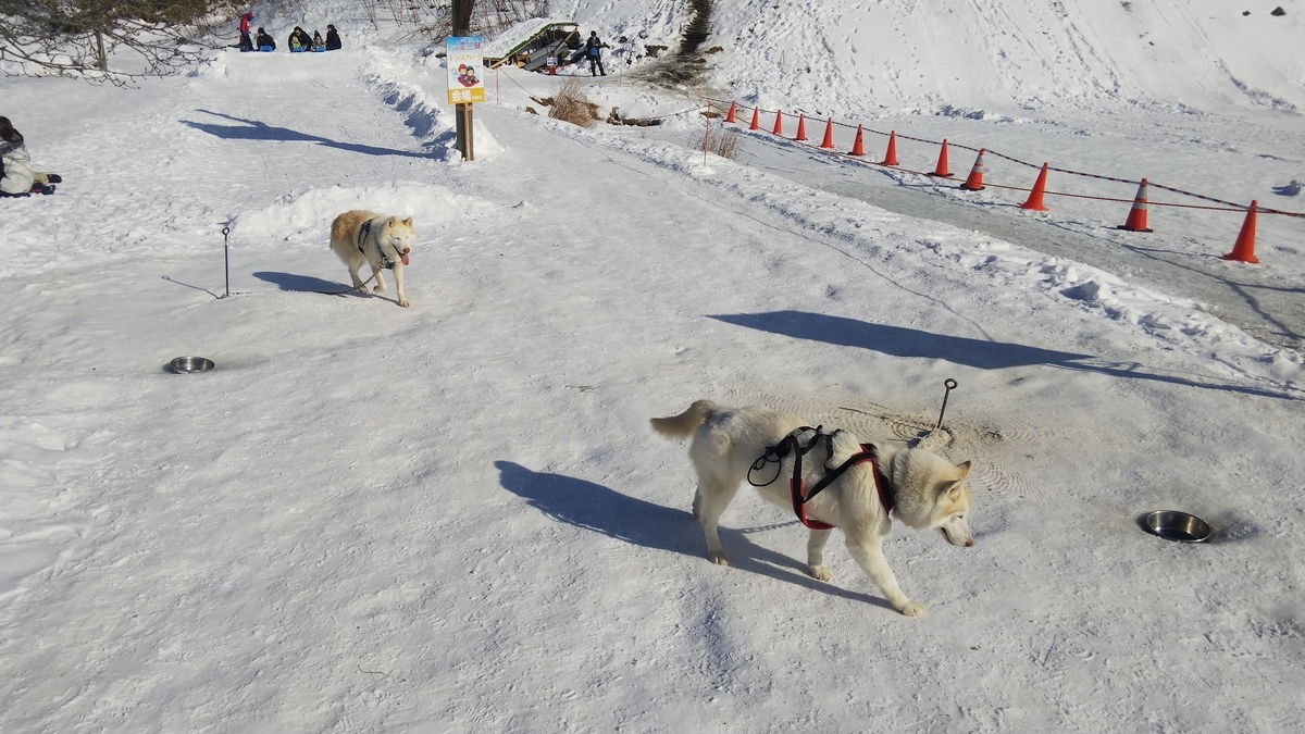 f:id:ezomachi_trip:20200121000717j:plain