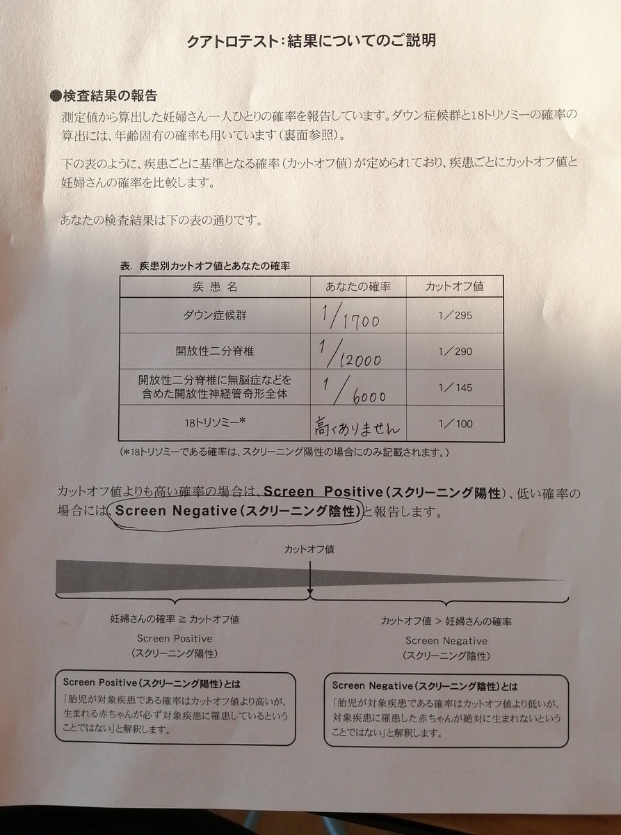 f:id:ezorisu_blog:20200312164413j:plain