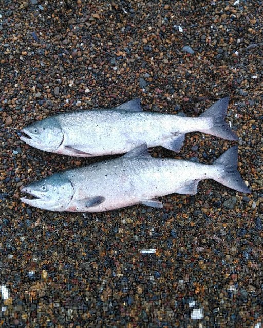 f:id:ezosuma:20200923002511j:image f:id:ezosuma:20200923002511j:image