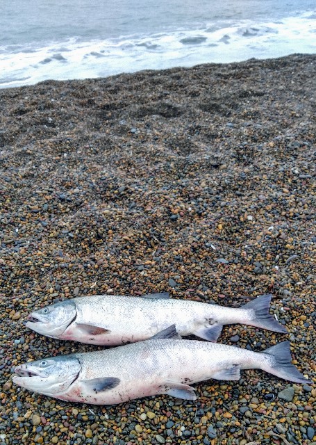 f:id:ezosuma:20200923002527j:image f:id:ezosuma:20200923002527j:image