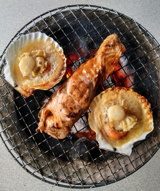 f:id:ezosuma:20201012143424j:image f:id:ezosuma:20201012143424j:image