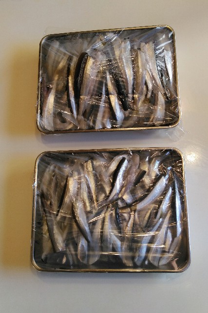 f:id:ezosuma:20201108152418j:image f:id:ezosuma:20201108152418j:image