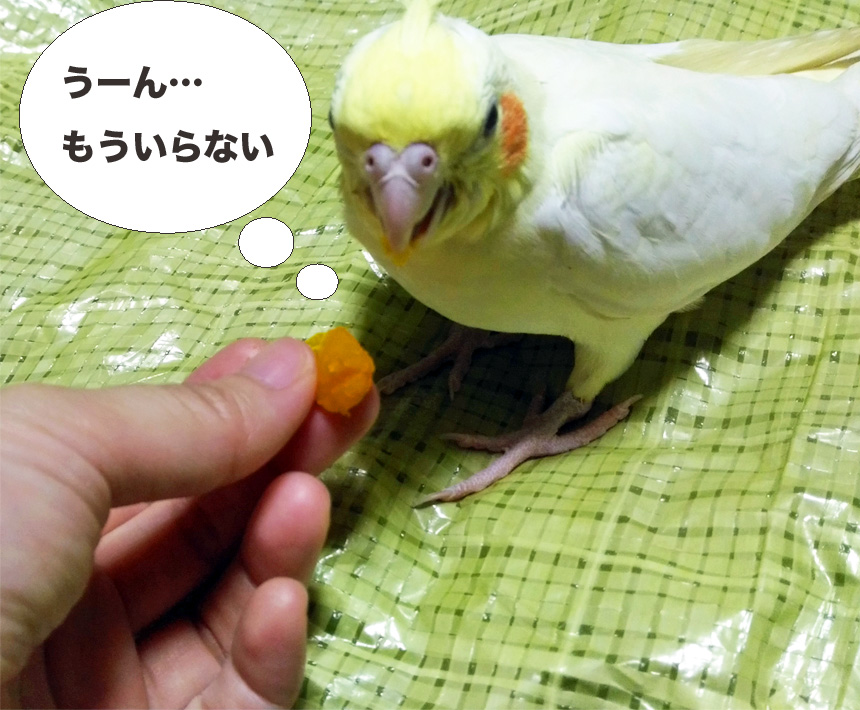 f:id:ezoushimemo:20180617003912j:plain f:id:ezoushimemo:20180617003912j:plain