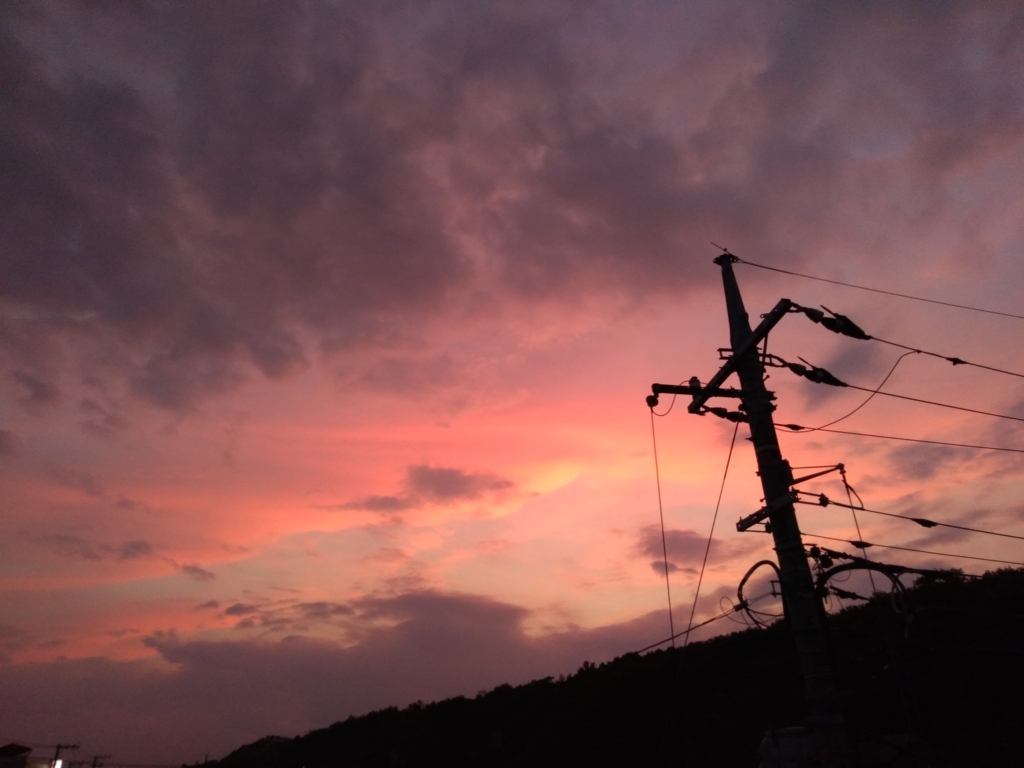 f:id:ezoushimemo:20180811191459j:plain f:id:ezoushimemo:20180811191459j:plain