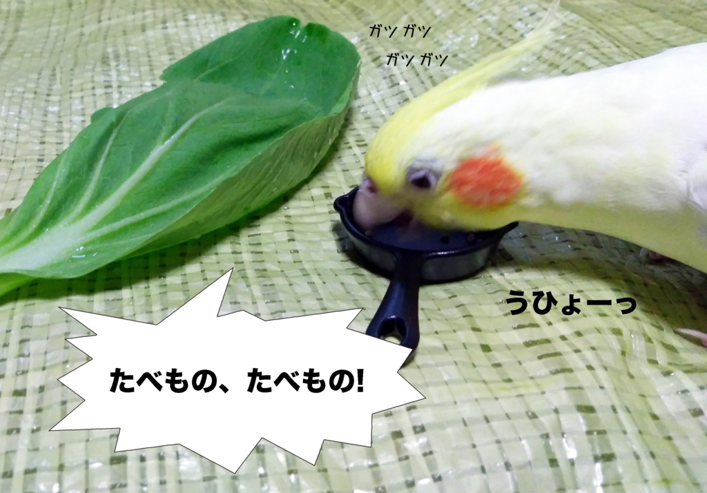 f:id:ezoushimemo:20180819091401j:plain f:id:ezoushimemo:20180819091401j:plain