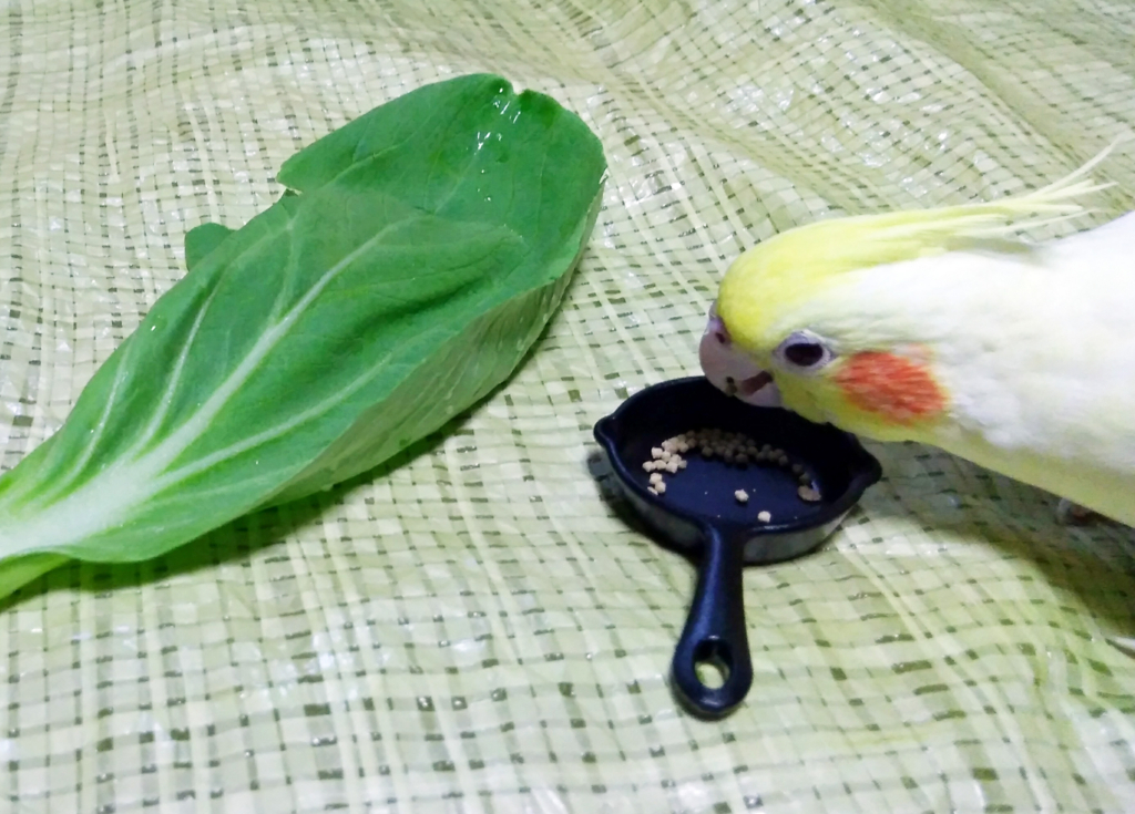 f:id:ezoushimemo:20180819091527j:plain f:id:ezoushimemo:20180819091527j:plain