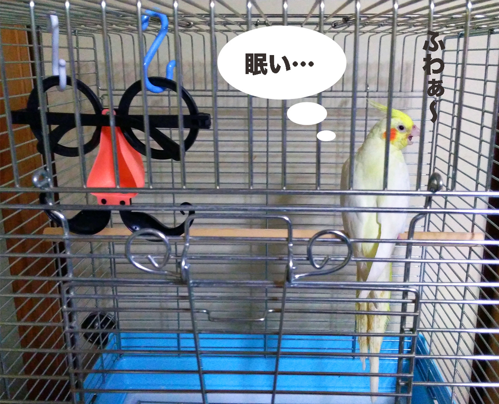 f:id:ezoushimemo:20180831003416j:plain f:id:ezoushimemo:20180831003416j:plain