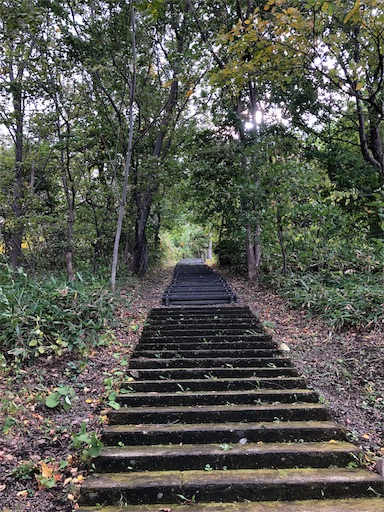 f:id:ezowatton:20191014194540j:image
