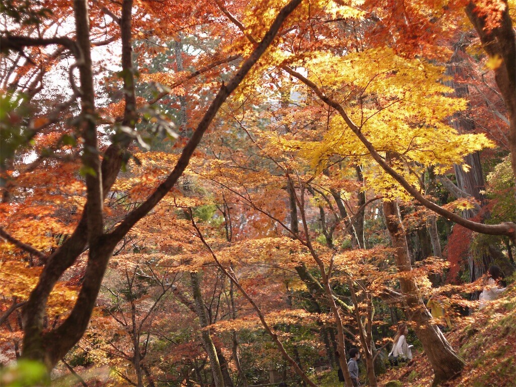 f:id:ezra8789:20251203202709j:image