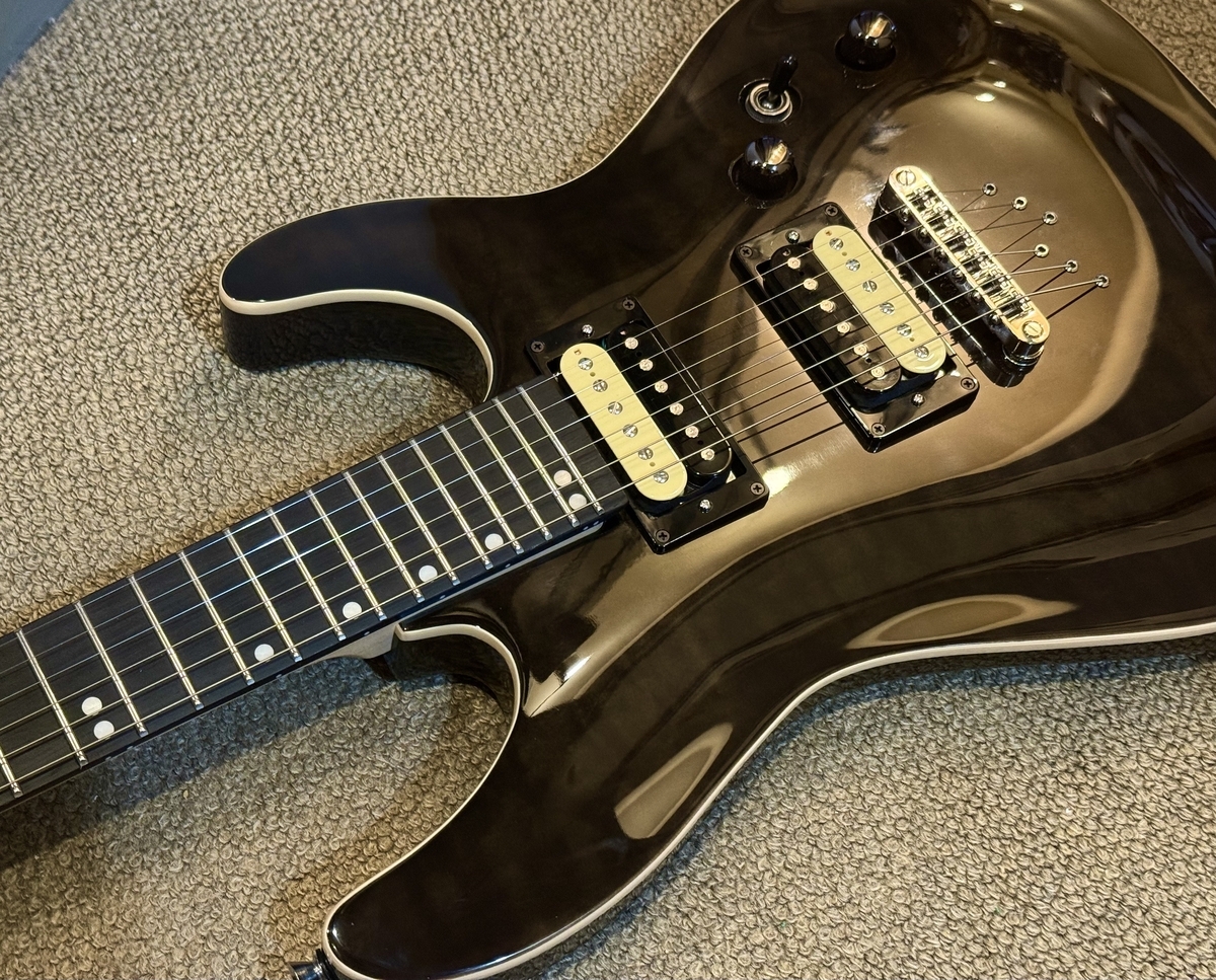 Bullfighterのエレキギター改造2連発（その4）〜D-170「パイソン」の