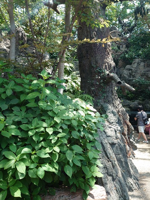 f:id:ezyo:20200816181346j:image f:id:ezyo:20200816181346j:image