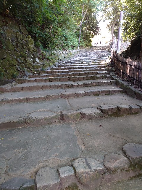 f:id:ezyo:20200823225018j:image f:id:ezyo:20200823225018j:image