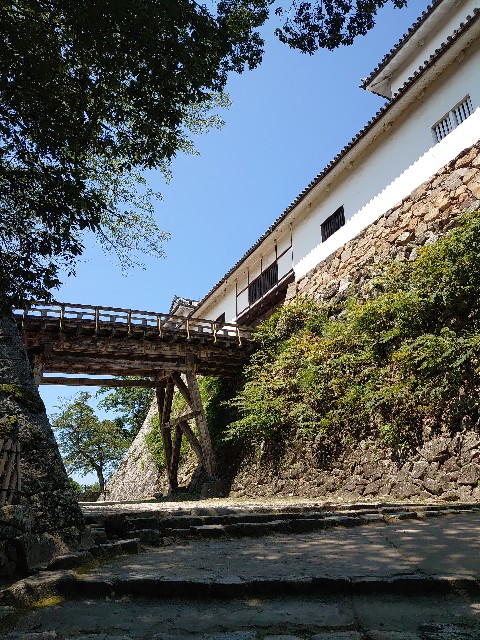 f:id:ezyo:20200823225039j:image f:id:ezyo:20200823225039j:image