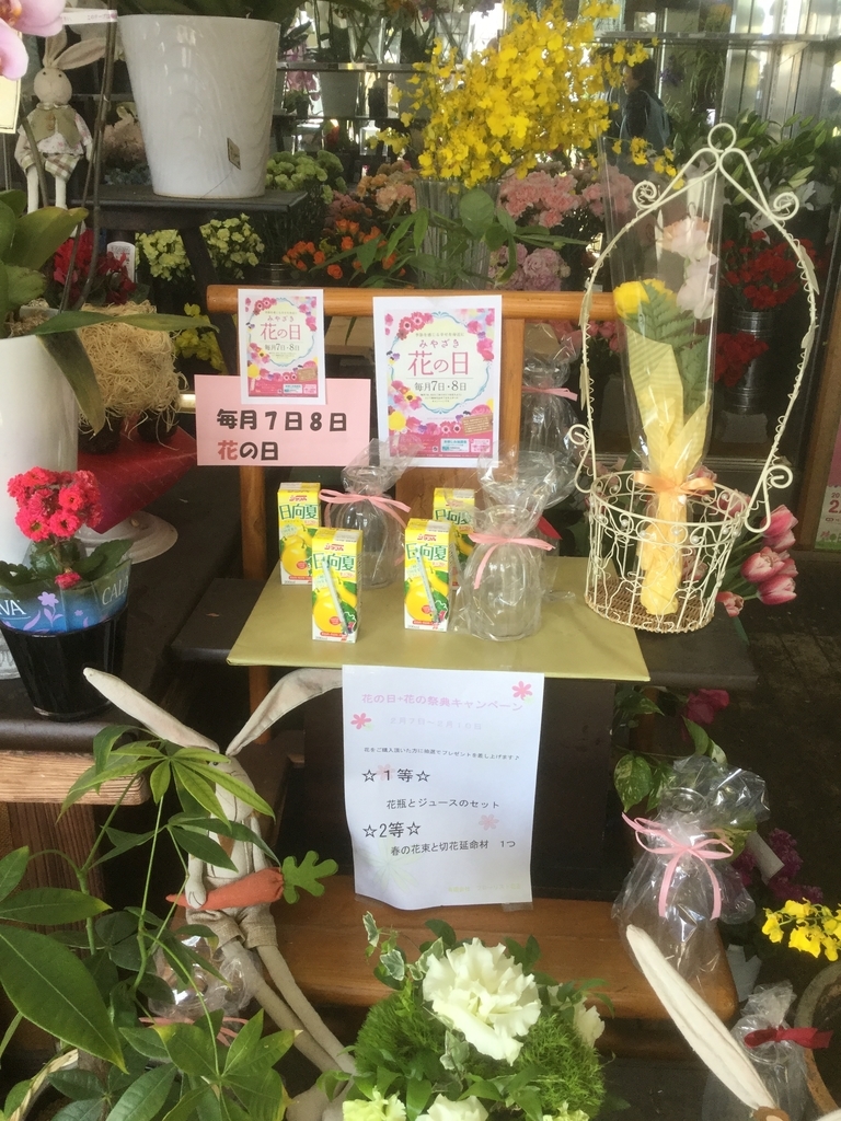 f:id:f-hanasyo:20190207160526j:plain f:id:f-hanasyo:20190207160526j:plain