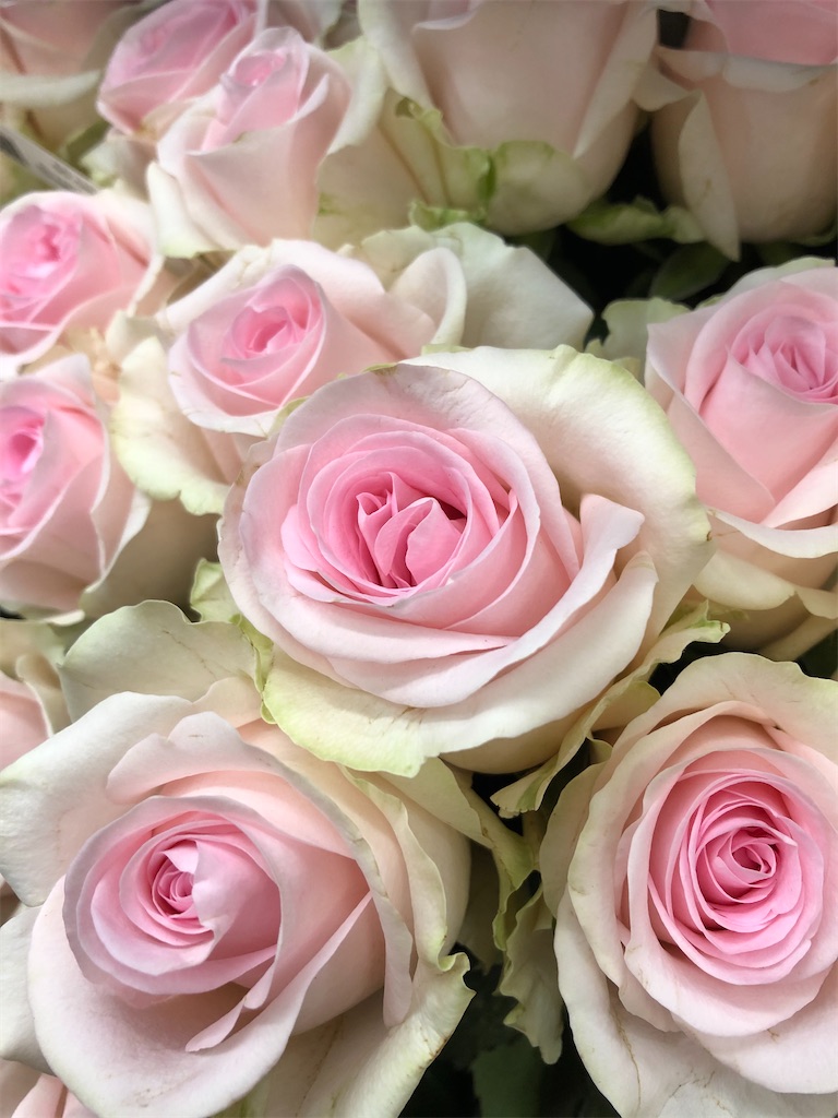 f:id:f-hanasyo:20200307142957j:image