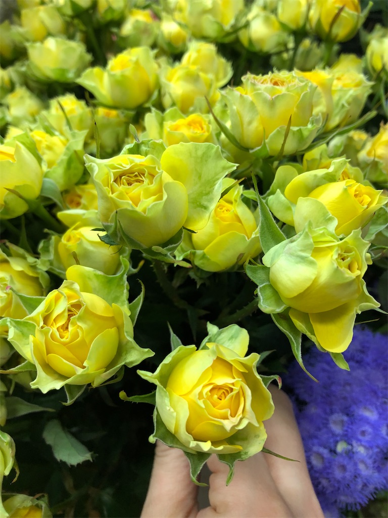 f:id:f-hanasyo:20200307143555j:image