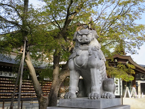 f:id:f-island:20210414214436j:plain