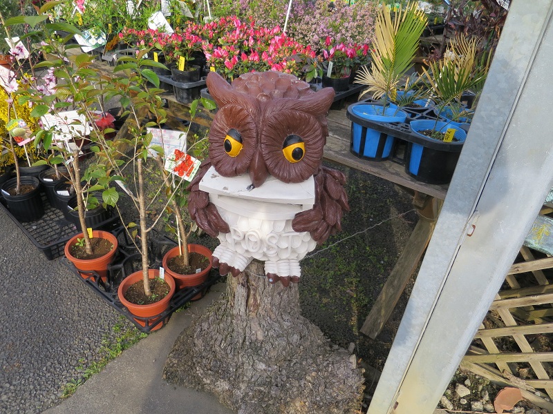 f:id:f-island:20210823234802j:plain