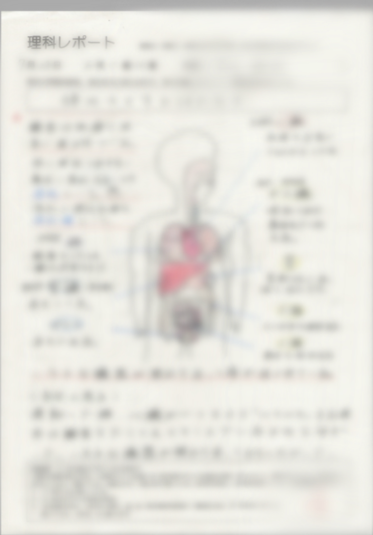 f:id:f-manabiai:20200803203200j:plain f:id:f-manabiai:20200803203200j:plain