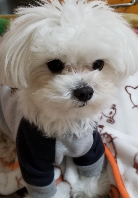 涙焼け その後 F Nikoniko S Blog