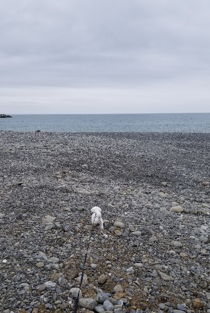 f:id:f-nikoniko:20200518163633j:image f:id:f-nikoniko:20200518163633j:image