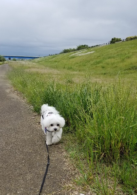 f:id:f-nikoniko:20200518163756j:image f:id:f-nikoniko:20200518163756j:image