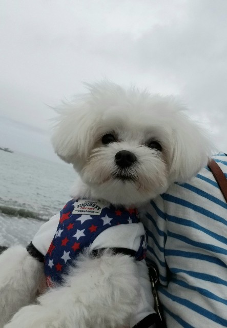 f:id:f-nikoniko:20200518164149j:image f:id:f-nikoniko:20200518164149j:image