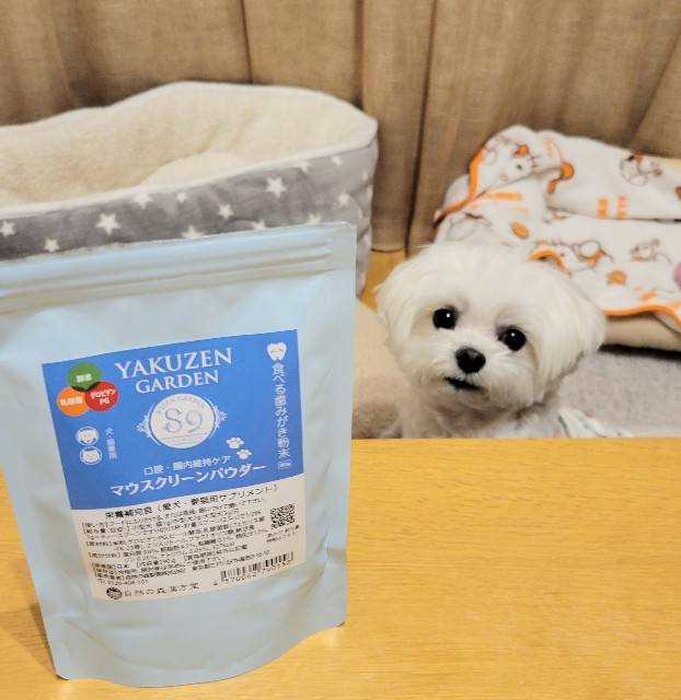 f:id:f-nikoniko:20250427202118j:image f:id:f-nikoniko:20250427202118j:image