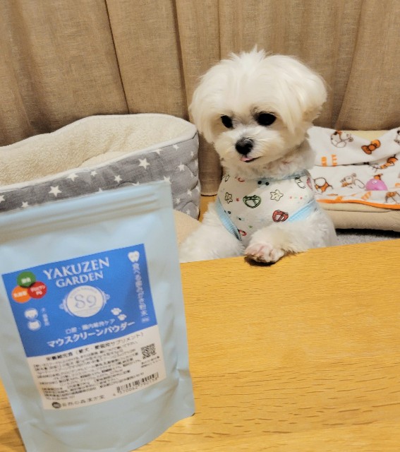 f:id:f-nikoniko:20250427202128j:image f:id:f-nikoniko:20250427202128j:image