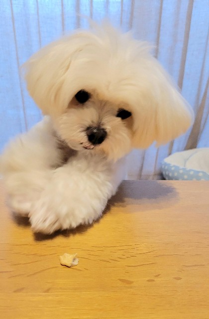 f:id:f-nikoniko:20250804182710j:image f:id:f-nikoniko:20250804182710j:image