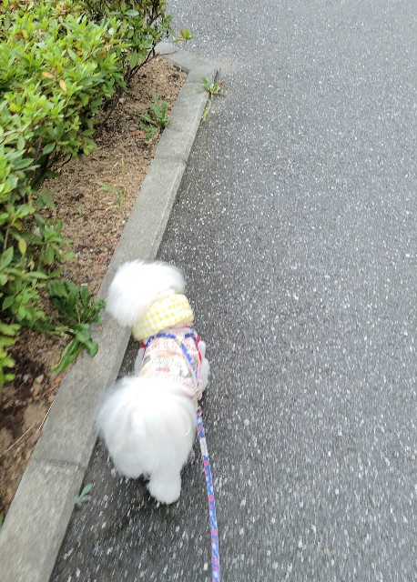 f:id:f-nikoniko:20250804182754j:image f:id:f-nikoniko:20250804182754j:image